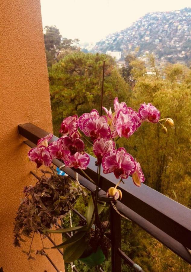 Courtyards Peak-Corner Pinestay - At Goshenland Baguio 碧瑶 外观 照片